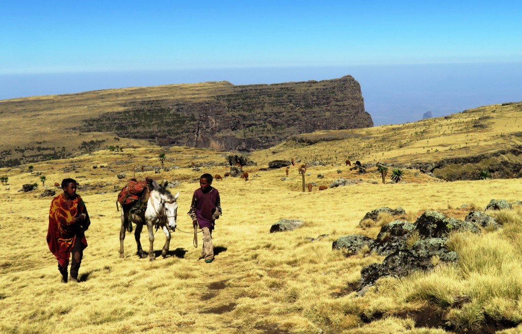 Shepherd and muleteer high in the Simiens